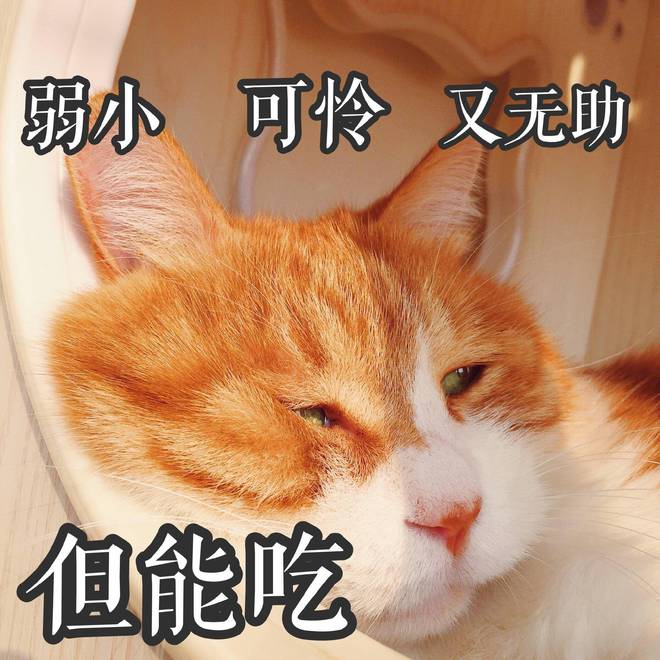 跟一个小男孩玩的手机游戏_男孩玩手机游戏小说推荐_男孩爱玩手机游戏怎么办