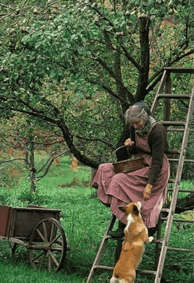 阿勒忒亚_阿勒忒娅_阿勒忒娅要说多久