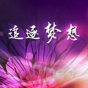 龙炎特战队_龙炎辅助_龙炎