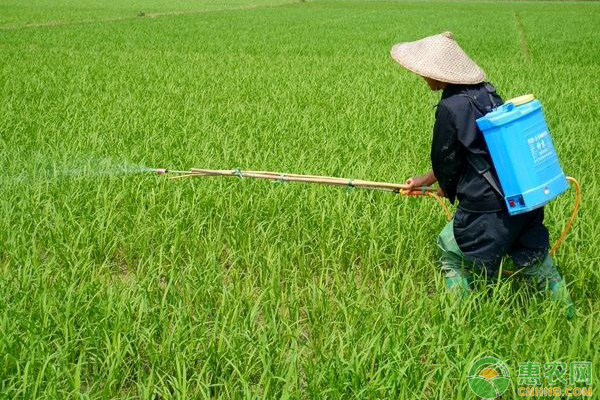 频率内存条混用可以用吗_不同频率的内存条可以混用吗_不同频率内存条混搭