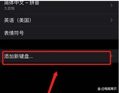 手写输入法怎么设置苹果手机_手写输入法iphone设置_苹果13输入法怎么设置手写