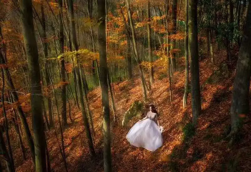 蓓丽雅_许丽雅_阿丽雅