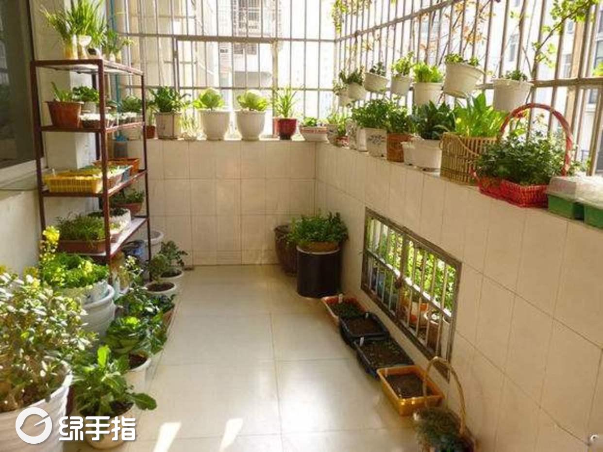 养号是什么意思?-养号并非易事，精心打理账号如养花，乐趣与挑