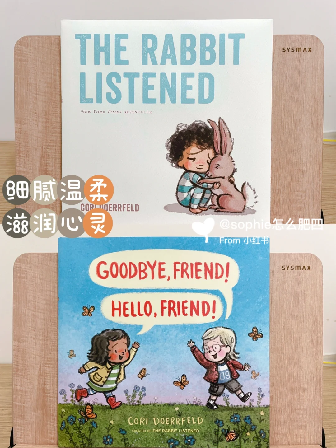 姐姐大人_大人大姐什么意思_姐姐大人一般指谁