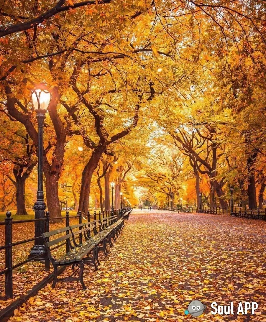 冈本真忧_冈本真忧_冈本真忧