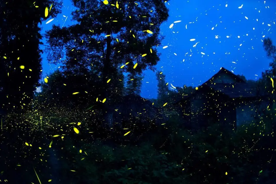 迷之七_迷你世界汉堡吖_迷你世界