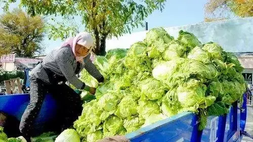 个人主播税收_主播超过多少要交个人所得税_个人主播扣税标准