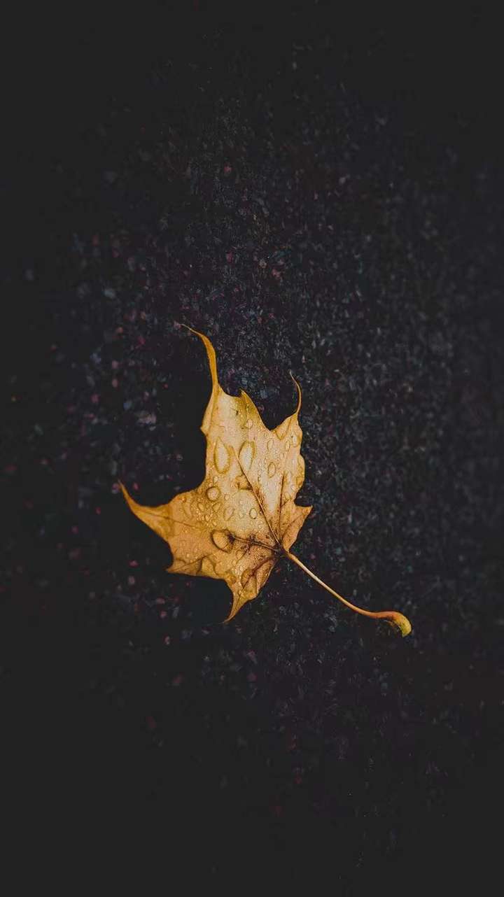 白千钧许霜清_清霜_霜清茶有什么功效