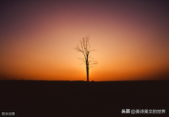 浪子彦青_浪子彦青_浪子彦青