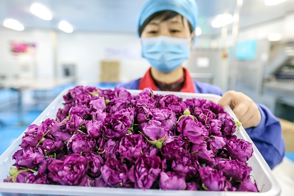 调教英文怎样写_调教的英文单词怎么写_调教英文