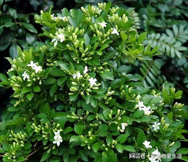 雷克萨斯es300h新款价格_雷克萨斯suv车型大全报价_雷兹