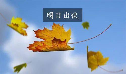 今天是三伏最后一天_今天是三伏的第几天呢_三伏天的头一天是哪天