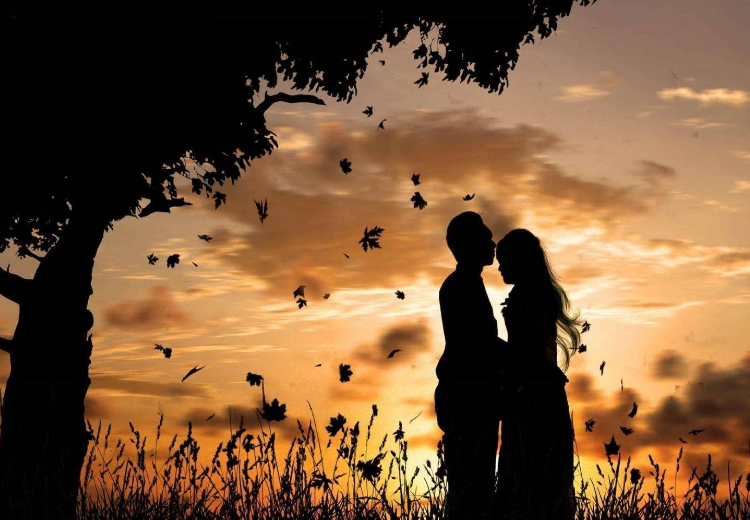 夫妇以上恋爱未满人_夫妇恋爱满人以上在线观看_夫妇以上恋人未满结尾是什么