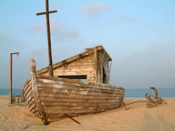 海豚湾在线观看免费完整版_海豚湾电影免费_海豚湾免费观看全集