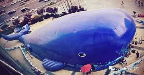 恐惧规则怪谈游戏下载最新版 